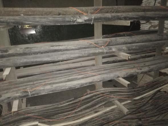 5c1c51ba4d01e.jpg image008.jpg