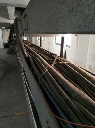 5c5145b098608.jpg 8155322.jpg